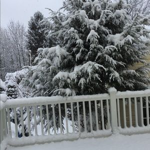 Meet your Posher, Zulma